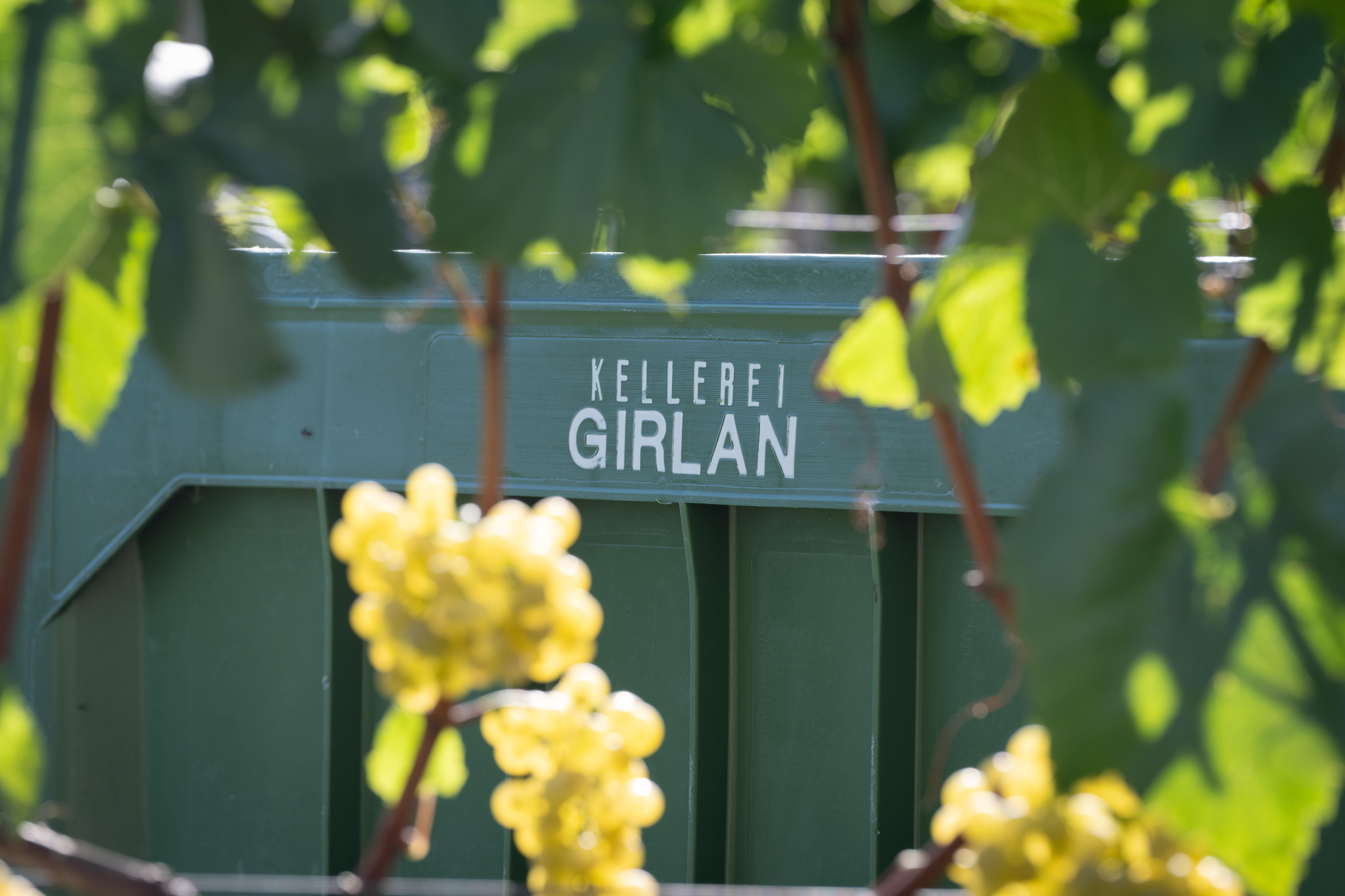 Kellerei-Girlan-0133
